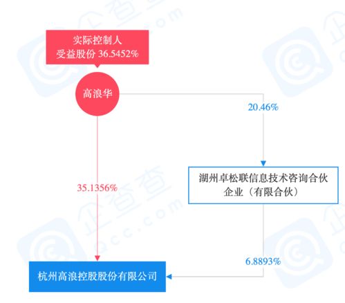 高浪與聯合利華強強聯手 合資公司gouni引領市場營銷新篇章