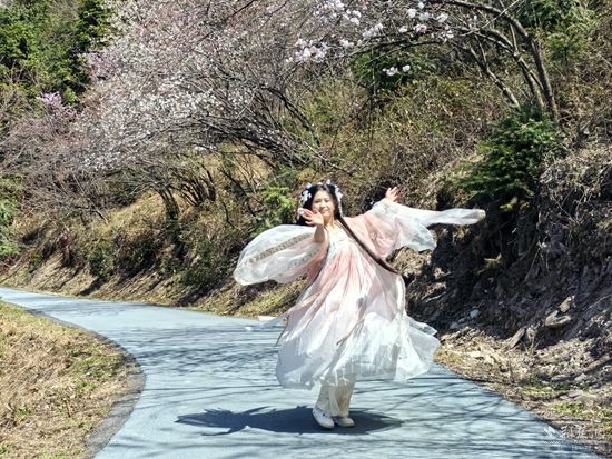 咸安文聯用百余文藝作品點燃“花漾春天”文藝創作
